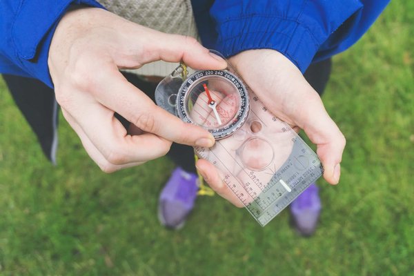Comment établir un programme de découverte de la faune locale pour les enfants pendant les vacances?