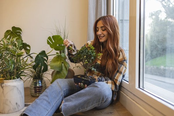 Quels sont les bons gestes pour débuter dans l'art du bonsaï et entretenir votre première plante?