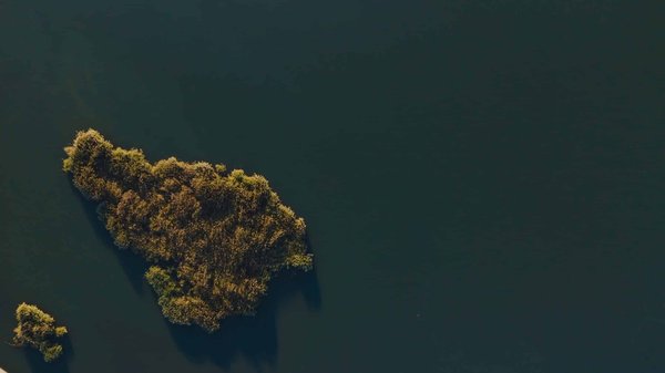 Quelle est l'influence des espaces verts sur la santé mentale en milieu urbain?